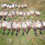 Duck-Hunts-082