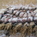 Duck-Hunts-113