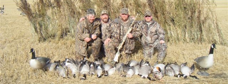 honker-heaven-canada-geese-070-slice