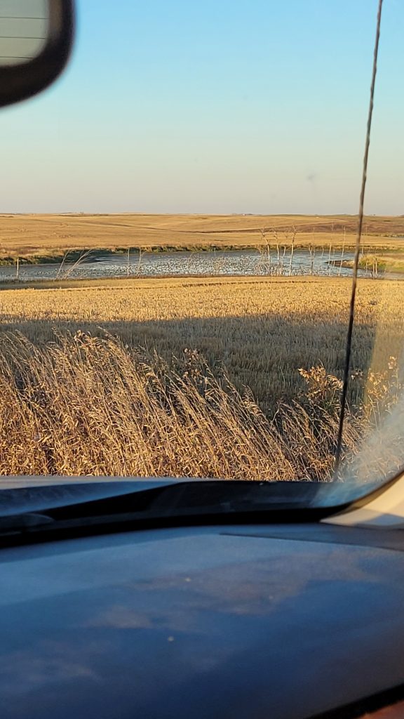 sk-waterfowl-hunt-2023-HHO-04