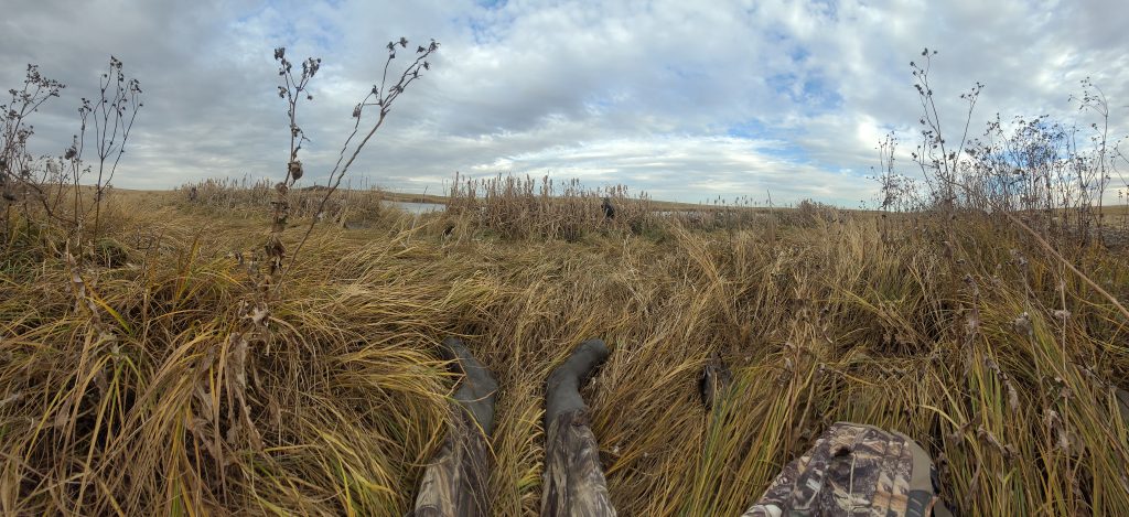 sk-waterfowl-hunt-trip-2025-HHO-21