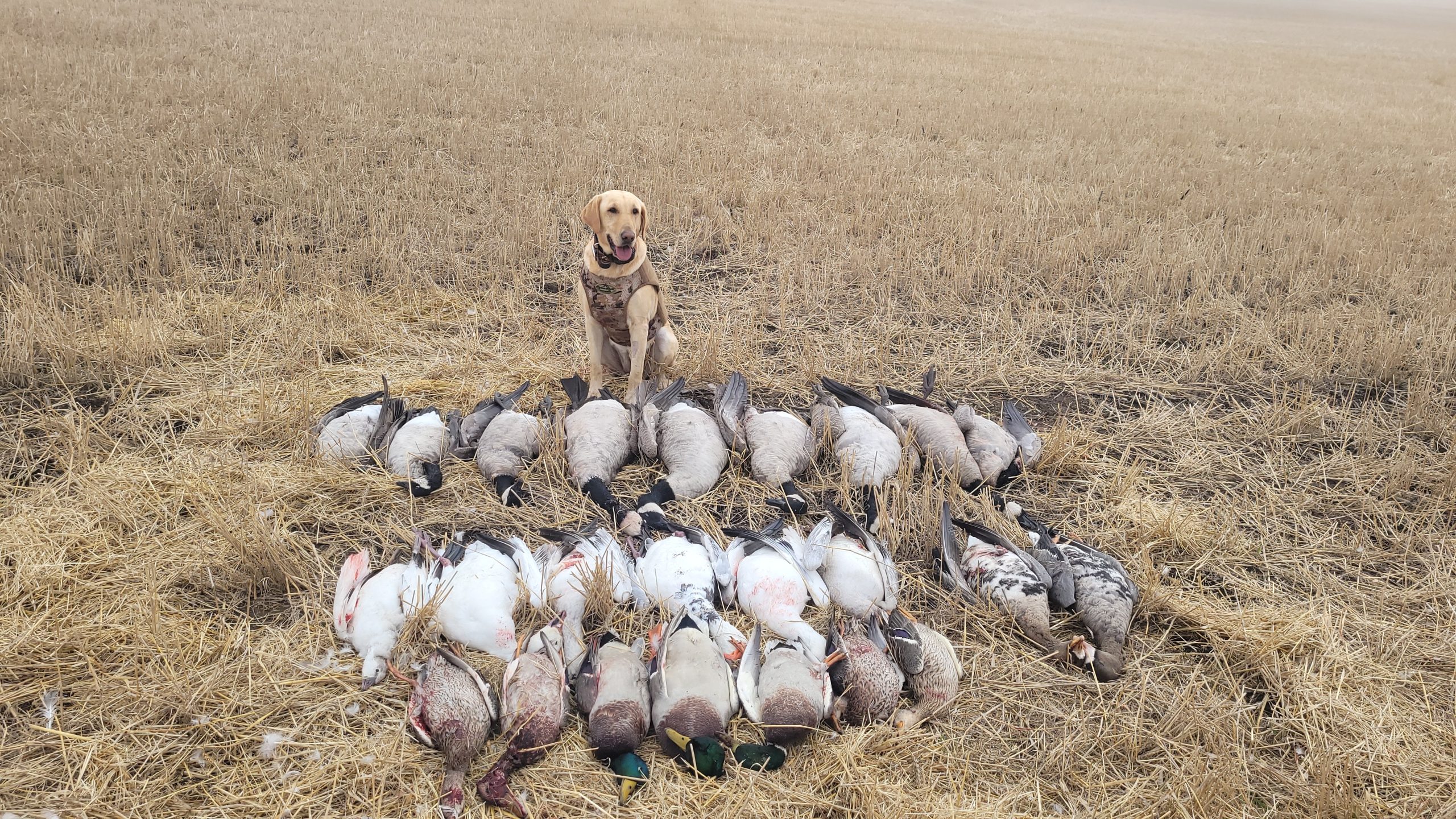 sk-waterfowl-hunt-trip-2025-HHO-32