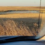sk-waterfowl-hunt-2023-HHO-04