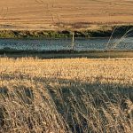 sk-waterfowl-hunt-2023-HHO-05