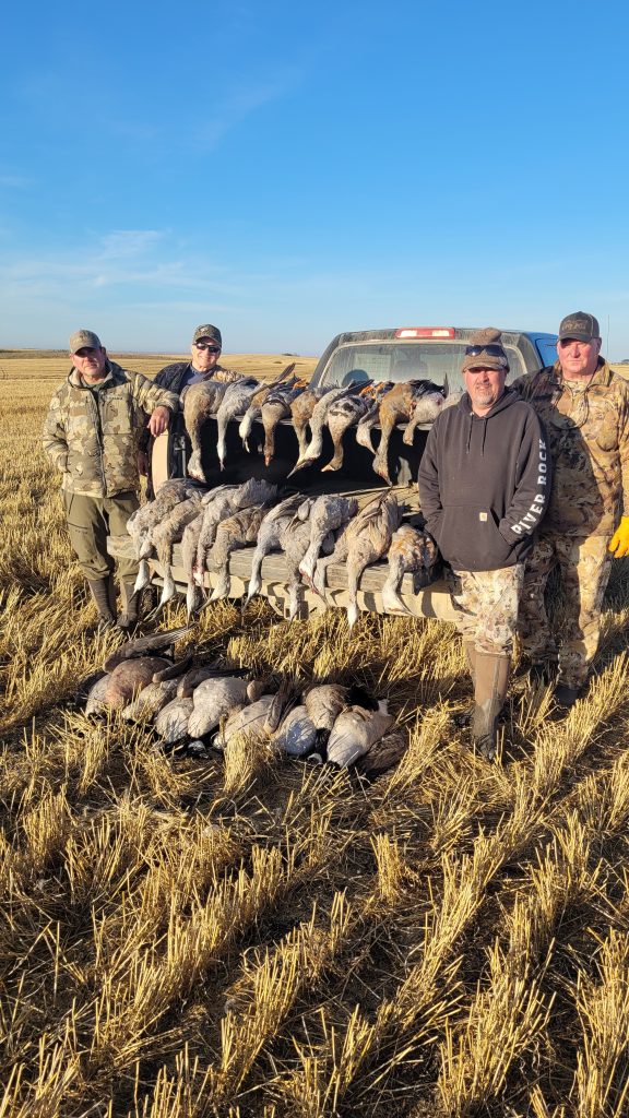cranes-canadas-specks