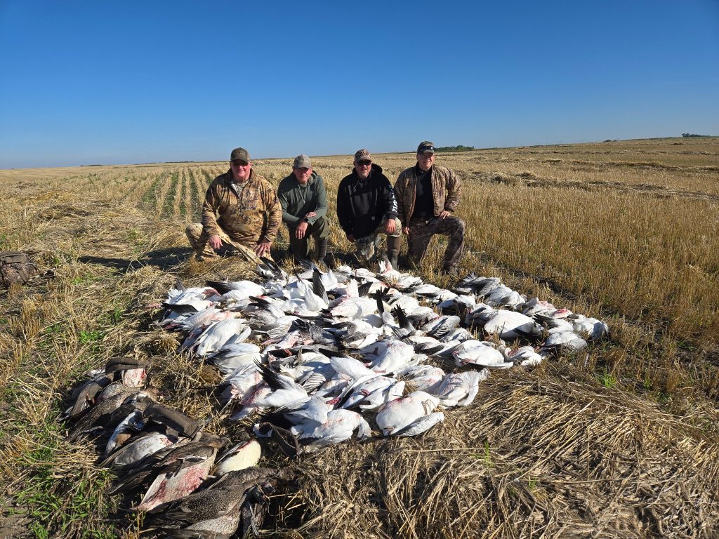 first-hunt-of-the-season-66-snows-25-ducks