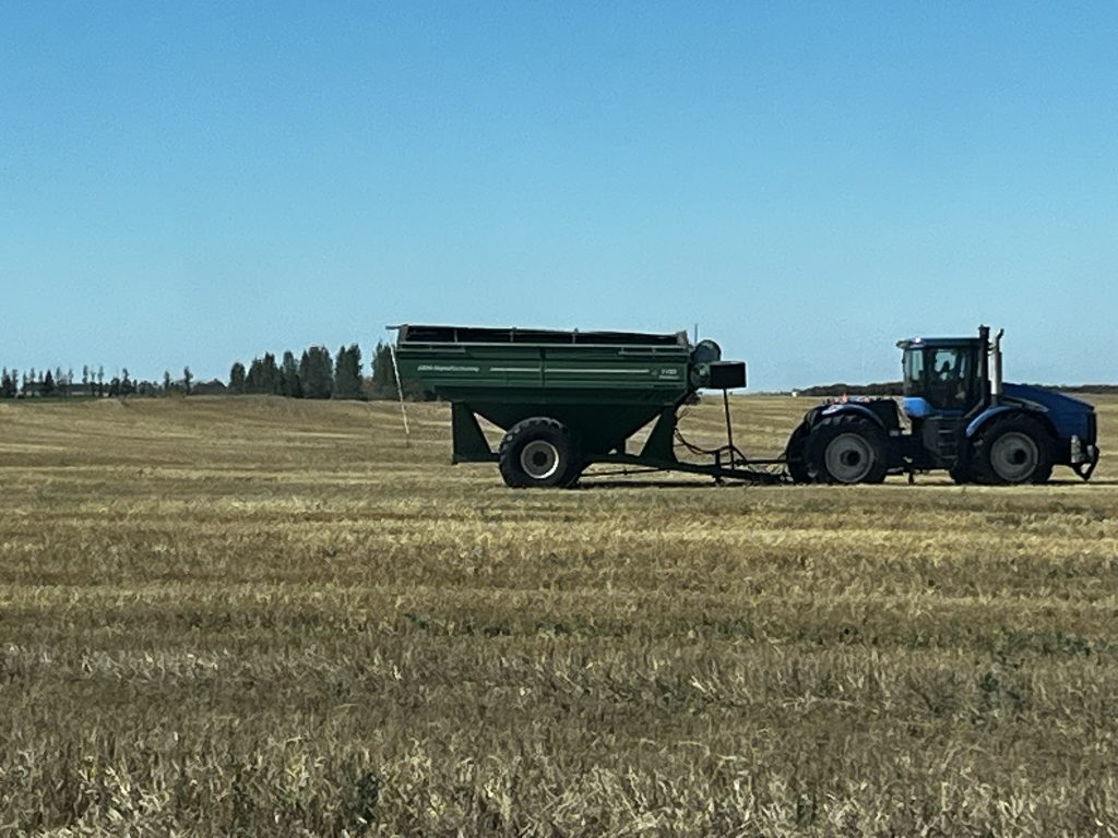 harvest-undwerway