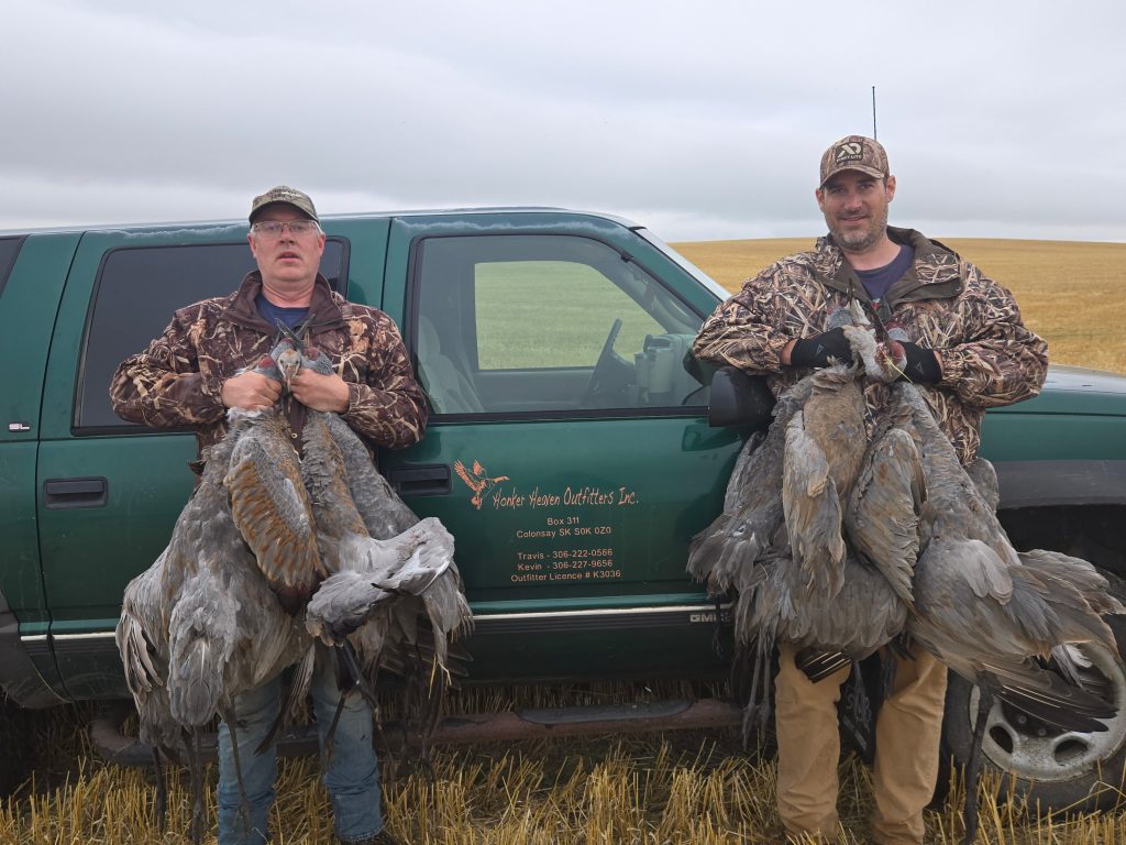 honker-heaven-limit-of-sandhill-cranes