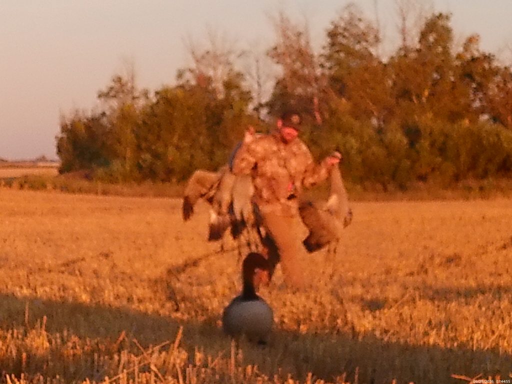 week-1-group-2-carrying-cranes