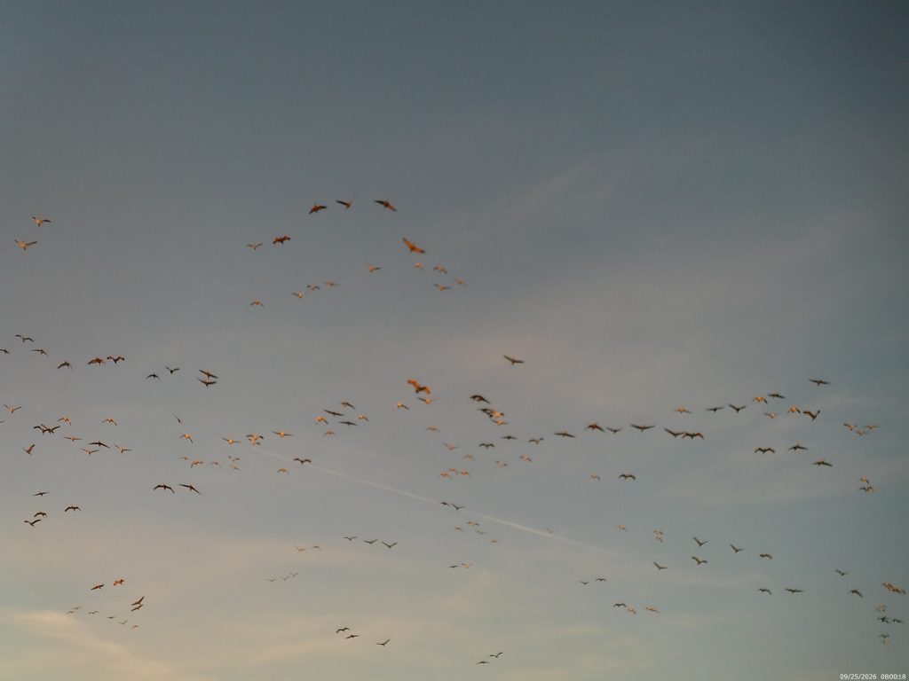 week-1-group-2-skies-are-full-1