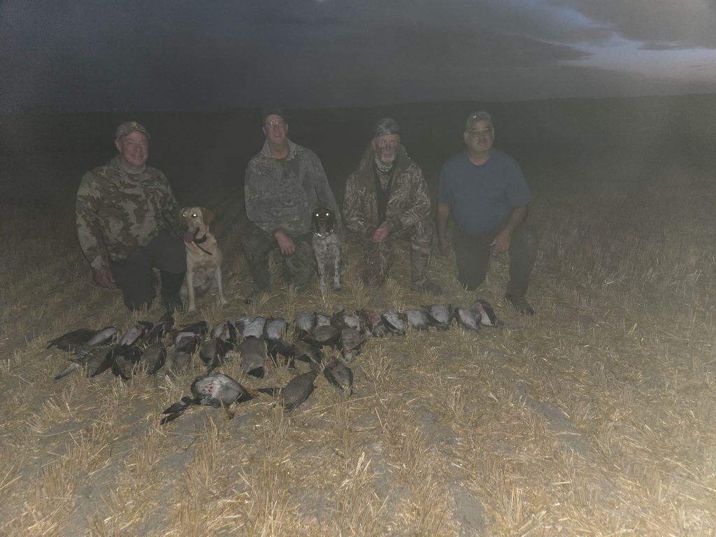 afternoon-duck-hunt-limit-1