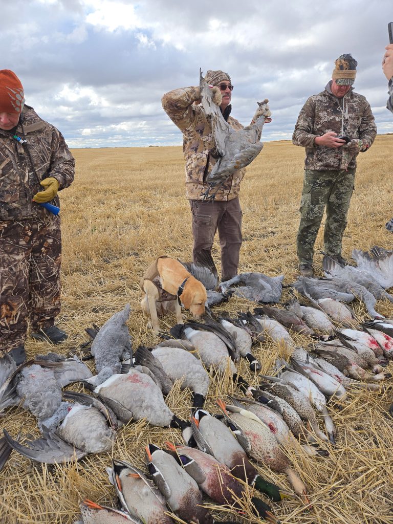 crane-hunt-bonus-geese-ducks-2