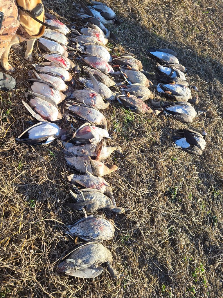 duck-hunt-limit-shoot-2