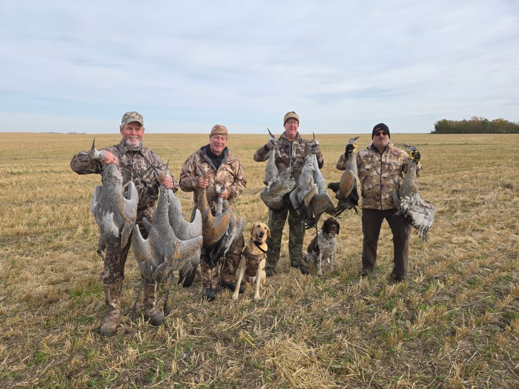 morning-crane-hunt