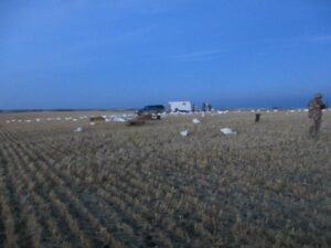SK-waterfowl-hunting-honker-heaven-101