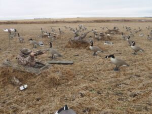 SK-waterfowl-hunting-honker-heaven-105