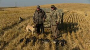 SK-waterfowl-hunting-honker-heaven-112