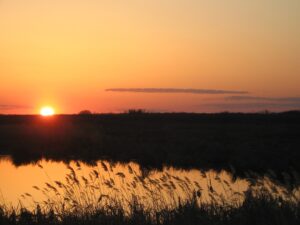 SK-waterfowl-hunting-honker-heaven-123