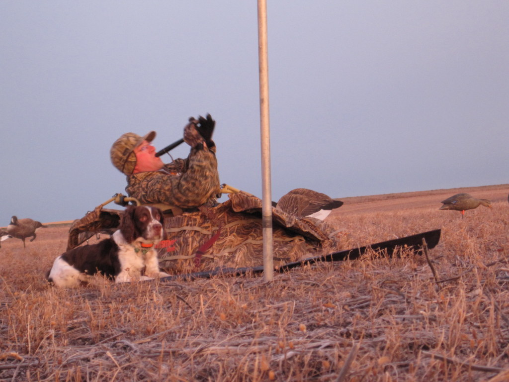honker-heaven-waterfowl-blind-goose-calling